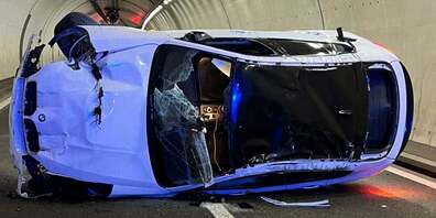 Der Autofahrer wurde mittelschwer verletzt.