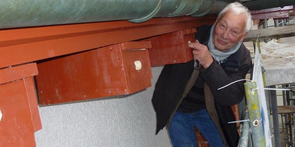 Martin Koegler setzt sich seit dem Beitritt zum Naturschutzverein 1973 für den Vogelschutz ein – 2012 bei der Montage von Nistkästen für Mauersegler in der Lachen.