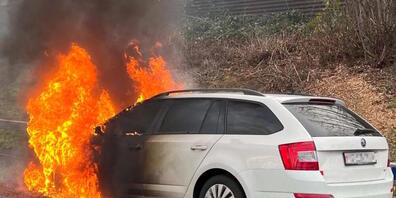 Das Auto geriet auf der Höhe von Mörschwil in Brand.
