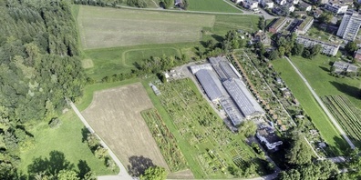 Luftaufnahme Areal Dunkelhölzli.