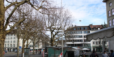 Ein Teil der Visiere für den Pavillon auf dem Marktplatz. Hier wird deutlich, dass der Neubau in die Kronen der Platanenreihe ragt