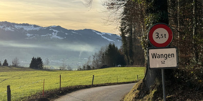 Schon von Weitem zu sehen: die Schwade über dem Holzheizkraftwerk Galgenen.