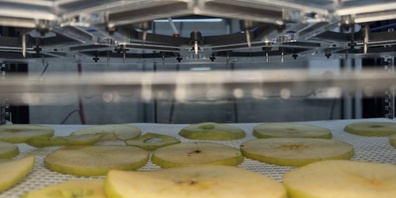 Die Technologie des Empa-Spin-offs «Ionic Wind Technologies» hat sich so weit entwickelt, dass Ionenwind künftig nicht mehr zur Trocknung von Früchten, sondern zur Kühlung von Datenzentren eingesetzt werden soll. 