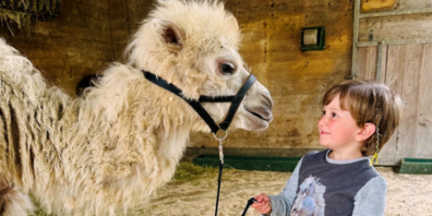 In Knies Kinderzoo erwarten die Besucherinnen und Besucher auch in diesem Jahr wieder tierische Erlebnisse der ganz besonderen Art.