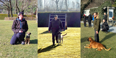 Auf dem Gelände: Hund und Mensch bei den vielseitigen Tests.
