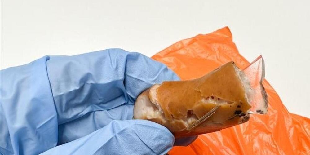 Ein Hundehalter entdeckte in St. Gallen einen mit Glasscherben präparierten Wurstköder.