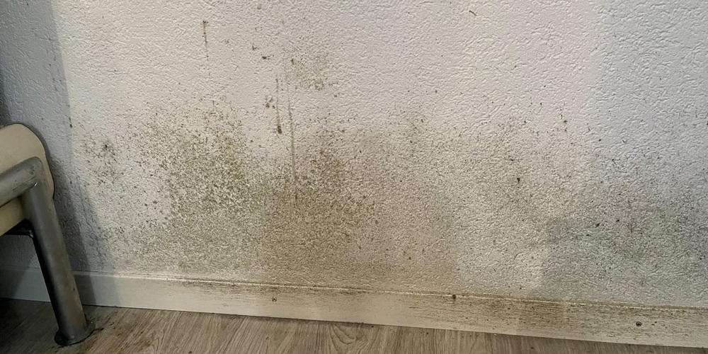 Die ganze Wohnung ist durchzogen mit schwarzem Schimmel.