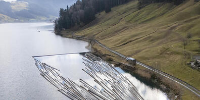 Das riesige Flossdreieck wird am 8. März über den Ägerisee gefahren.