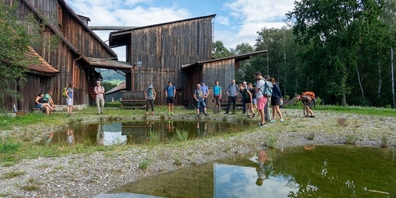 Pro Riet bietet beim Naturzentrum Schollenmühle erlebnisreiche Exkursionen an