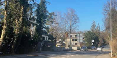 Nach einer Überprüfung befindet die Stadt Rapperswil-Jona, dass bei der Baumfällung an der Zürcherstrasse das Recht eingehalten wurde. 