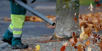 In der Stadt Zürich dürfte es schon bald zu einem weitgehenden Verbot von Laubbläsern kommen. Linke Parteien wollen benzinbetriebene Geräte ganz ausschliessen. (Symbolbild)