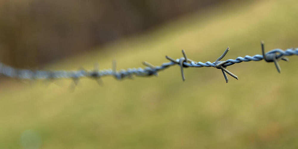Nicht mehr benötigte Zäune aus Stacheldraht am Waldesrand sind eine grosse Gefahr für Wildtiere. Im Kanton St. Gallen wurden sie verboten. (Archivbild)