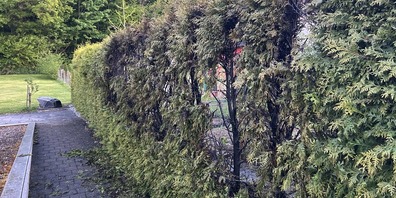 Die Feuerwehr Kreuzlingen löschte den Brand.