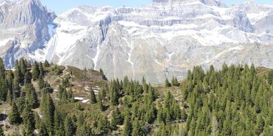 Der Mann stürzte am Freitagmittag am Chnügrat in Betschwanden aus noch unbekannten Gründen ab.