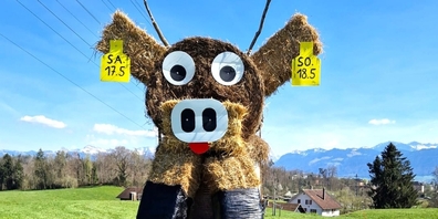 Die Strohkuh ist eine von vielen tierischen Bewohnern des Holzwieshofs