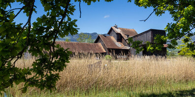 Wo Natur auf Geschichte trifft: Pro Riet lädt am 24. Mai zum Tag der offenen Schollenmühle ein – mit spannenden Einblicken und Naturerlebnissen für Gross und Klein.