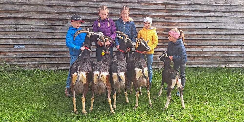 Die Zuchtfamilie der Familie Bless aus Schiers mit dem Stammtier Wendy.