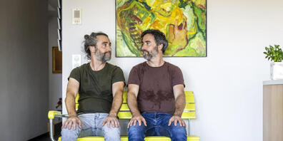 Die St. Galler Künstler Frank und Patrik Riklin erstellten die Kunstaktion der Fliege Erika 2012 im Auftrag des Biozidherstellers. (Archivbild)