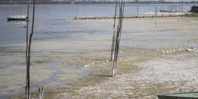 Anfang April lagen Boote am Untersee – hier in Ermatingen TG – aufgrund des tiefen Pegels auf dem Trockenen.