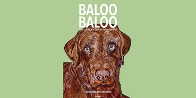 Das Buchcover von «Baloo Baloo»