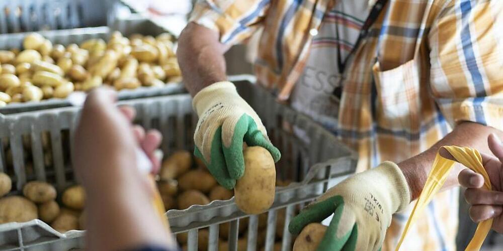 Menschen, die von der Sozialhilfe leben, sind oftmals auf eine kostenlose Abgabe von Lebensmitteln angewiesen. Der Aargau passt den Grundbedarf der Sozialhilfe der Teuerung an. (Symbolbild)