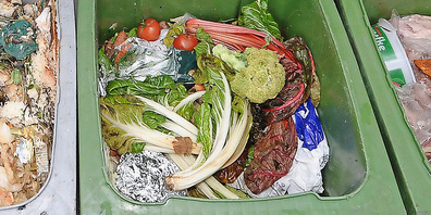 Abbild unserer Wegwerfgesellschaft.