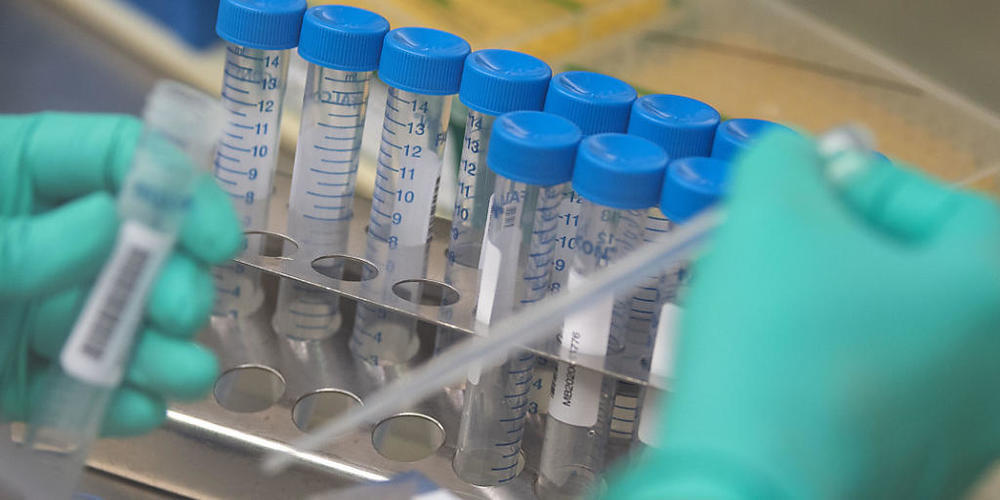 ARCHIV - Nach Einschätzung der Weltgesundheitsorganisation WHO ist die Corona-Pandemie noch lange nicht überstanden. Foto: Marijan Murat/dpa