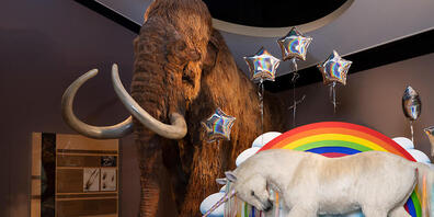 Im Naturhistorischen Museum Basel ist während der ESC-Woche ein Einhorn zu sehen.