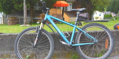 Dieses Velo kollidierte mit einem Auto. Die Velofahrerin wurde schwer am Kopf verletzt und musste von der Rega ins Spital gebracht werden.