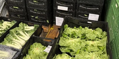 Hinter der täglichen Gemüseversorgung steckt viel Know-how, Technik und Leidenschaft, die weit über die Feldproduktion hinausgehen.
