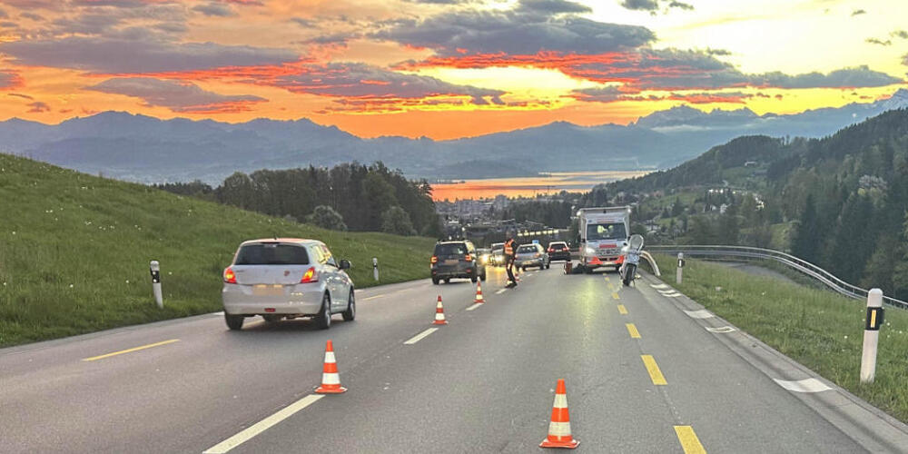 Ein Motorradfahrer verletzte sich bei einer Kollision mit einem Reh in Feusisberg erheblich.