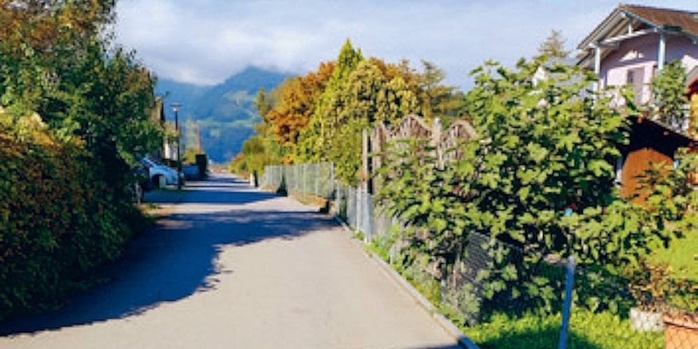 Nach der Streichung eines Fernwärmekredits entscheidet Weesens Bürgerversammlung über die Sanierung der Linthstrasse West ohne Fernwärme.