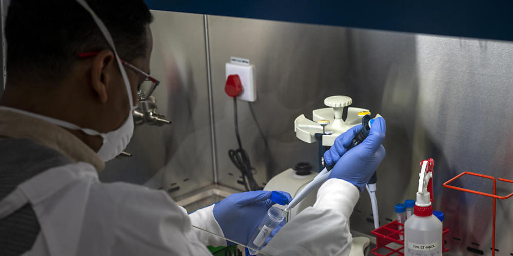 Auf diesem am 19.06.2020 zur Verfügung gestellten Foto hantiert ein Labortechniker mit medizinischen Proben, die von Mitgliedern des Chros "Ndlovu Youth Choir" für Covid-19-Tests in einer Klinik im Moutse Valley, 160 km nordöstlich von Johannesbur...
