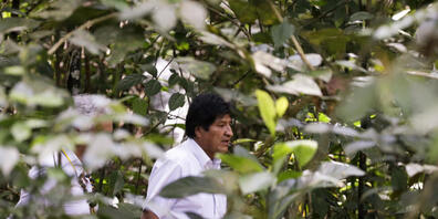 Boliviens damaliger Präsident Evo Morales letzten Herbst  im kolumbianischen Amazonas-Wald. Anlass war ein Gipfeltreffen zur Rettung des Regenwalds. Ein bisschen was hat die Diskussion genützt: In Kolumbien wurde seither etwas weniger gerodet. (Ar...