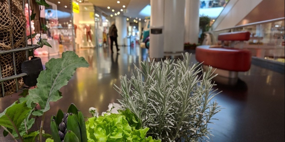 Ab dem 10. Juli gibt es im Sonnenhof nebst kunstvollen Sitzgelegenheiten auch einen herrlichen Kräutergarten zu bestaunen.