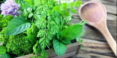 Kräuter sind beliebt. 