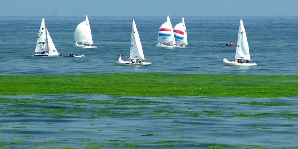 In China (Bild) ist die Grünfärbung von Gewässer durch Algenblüten ein bekanntes Phänomen und ein Merkmal von Verschmutzung. Nun haben Wissenschaftler abgelegene, unberührte Bergseen in den USA gefunden, die ebenfalls darunter leiden. Schuld ist d...