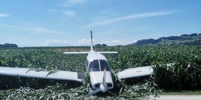 Bei der Notlandung bleiben der Pilot sowie sein Passagier unverletzt.