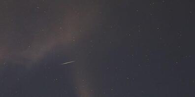 Eine Sternschnuppe zischt quer durch den Schweif des Kometen und hinterlässt eine kurze Strichspur auf dem Foto. (Bild vom 18. Juli)