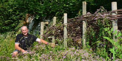 Auf 8,5 Aren liess Pirmin Weber nahe der Kapelle und unten am Chällenbach je einen Streifen artenreiche Blumenwiese ansäen. (Bilder Silvia Gisler)