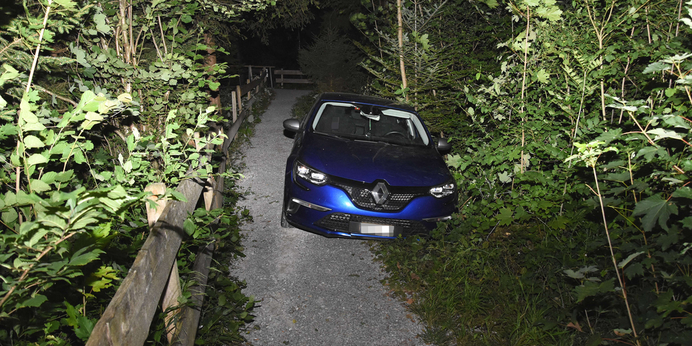 Das Auto blieb am Waldrand stecken.