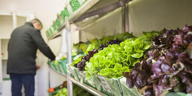 Hofläden boomten während des Corona-Lockdowns. Der Bauernverband will diesen Schwung nun nutzen. (Archivbild)