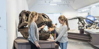 Auch das Naturmuseum in St.Gallen macht beim Museumssommer mit