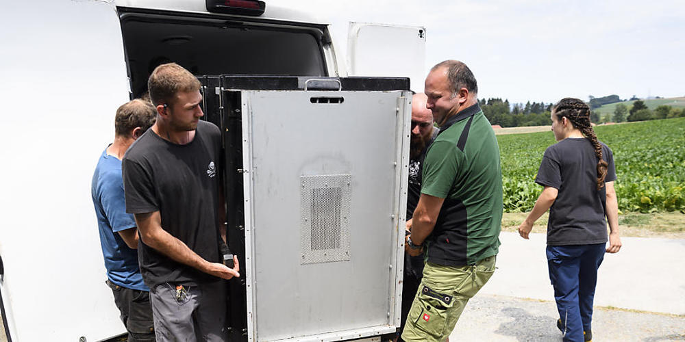 Die Transportkiste mit dem 105 Kilogramm schweren Junglöwen Makuti wird ausgeladen.