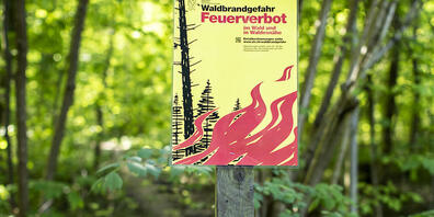 Vorsicht bei der 1. August-Feier: Zahlreiche Kantone mahnen derzeit zur Vorsicht mit Feuer im Wald oder in Waldesnähe oder verbieten es. In vier Kantonen herrscht absolutes Feuerverbot. (Symbolbild)
