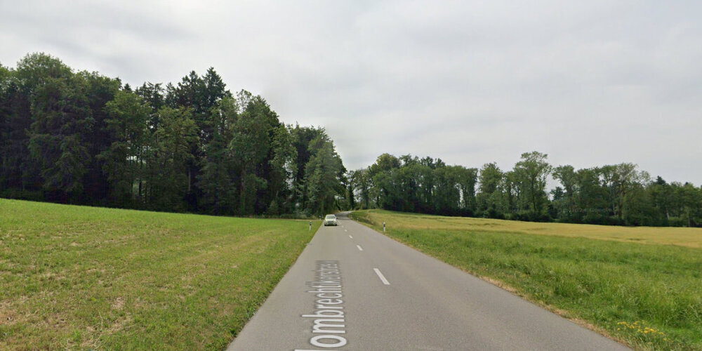 Entlang der Hombrechtikerstrasse zwischen Grüningen und Hombrechtikon muss für den geplanten Radweg Wald gerodet werden.