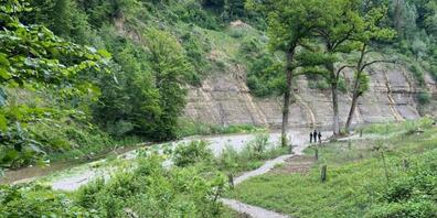 Für Besucherinnen und Besucher wurde bei der ehemaligen Jagdschiessanlage Embrach ein neuer Pfad angelegt.