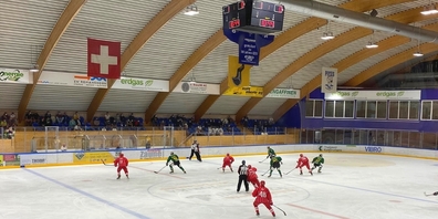 Das Testspiel zwischen den Lakers und dem HC Thurgau fand am Dienstagabend im Eissportzentrum Oberthurgau in Romanshorn statt.