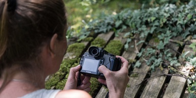 Mit Geduld und der richtigen Technik gelingt die Wildtierfotografie.
