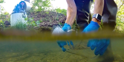 Fachleute des kantonalen Amtes für Wasser und Energie haben viele Gewässerproben entnommen und genau analysiert.